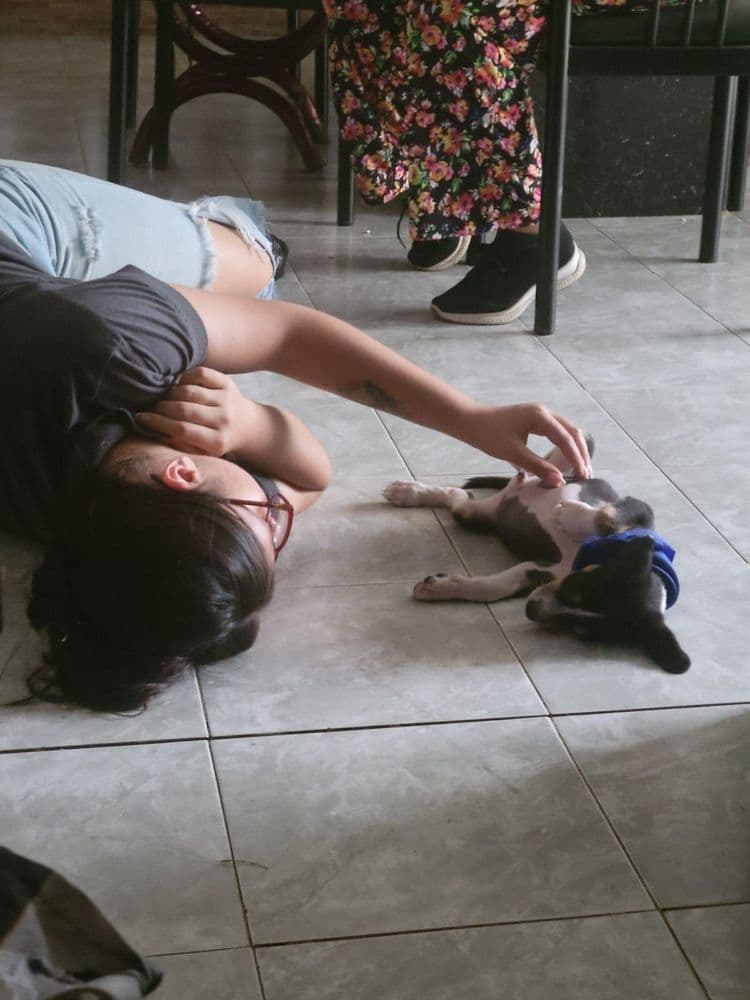 LA VERDAD SOBRE LA EMPATÍA.